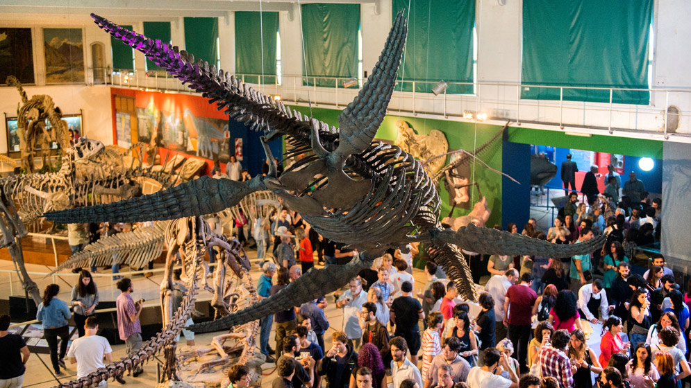 Plesiosaurio